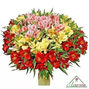 Букет из 101 альстромерии Букет из 101 альстромерии